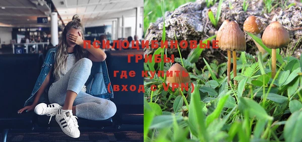 PSILOCYBIN Кукмор