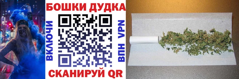 Купить где  Новосокольники  Бошки Шишки планчик 